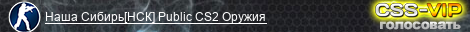 Наша Сибирь[НСК] Public CS2 Оружия