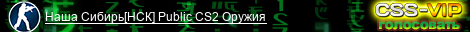 Наша Сибирь[НСК] Public CS2 Оружия