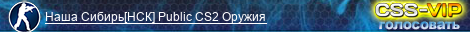 Наша Сибирь[НСК] Public CS2 Оружия