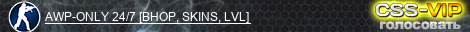 AWP-ONLY 24/7 [BHOP, SKINS, LVL]
